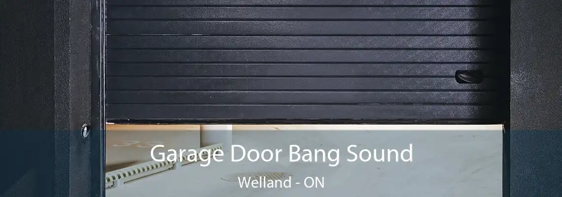 Garage Door Bang Sound Welland - ON