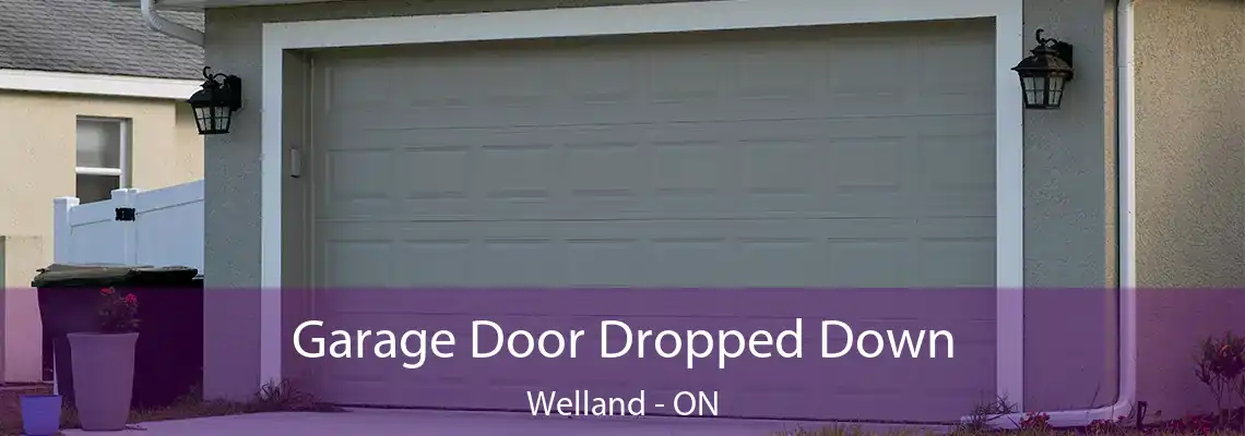 Garage Door Dropped Down Welland - ON