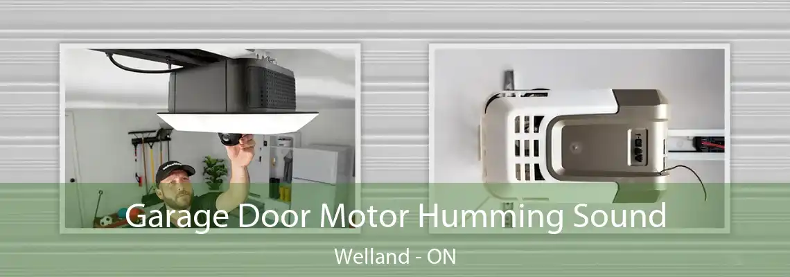 Garage Door Motor Humming Sound Welland - ON