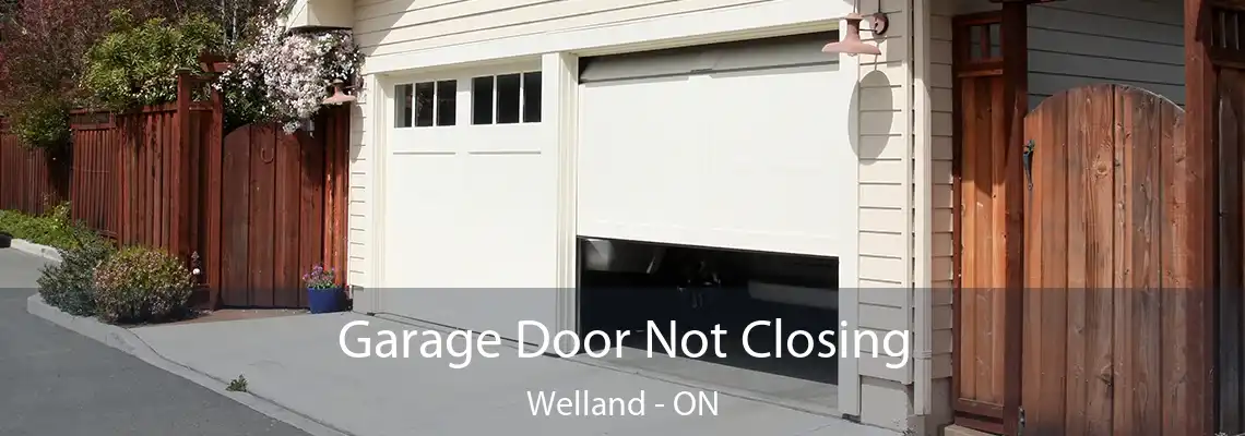 Garage Door Not Closing Welland - ON