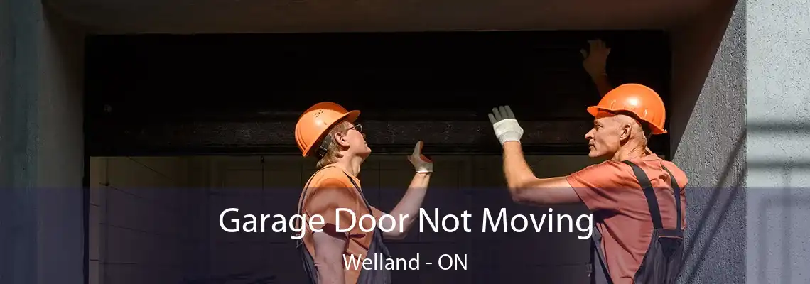 Garage Door Not Moving Welland - ON