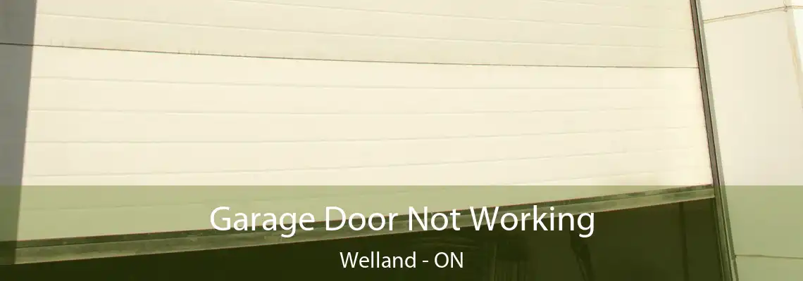 Garage Door Not Working Welland - ON