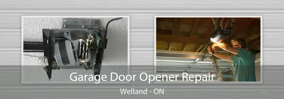Garage Door Opener Repair Welland - ON