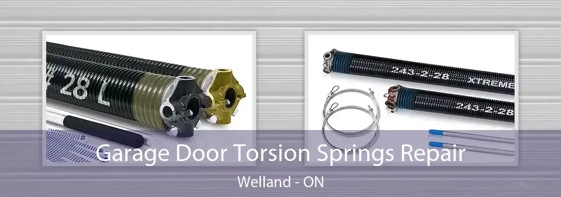 Garage Door Torsion Springs Repair Welland - ON