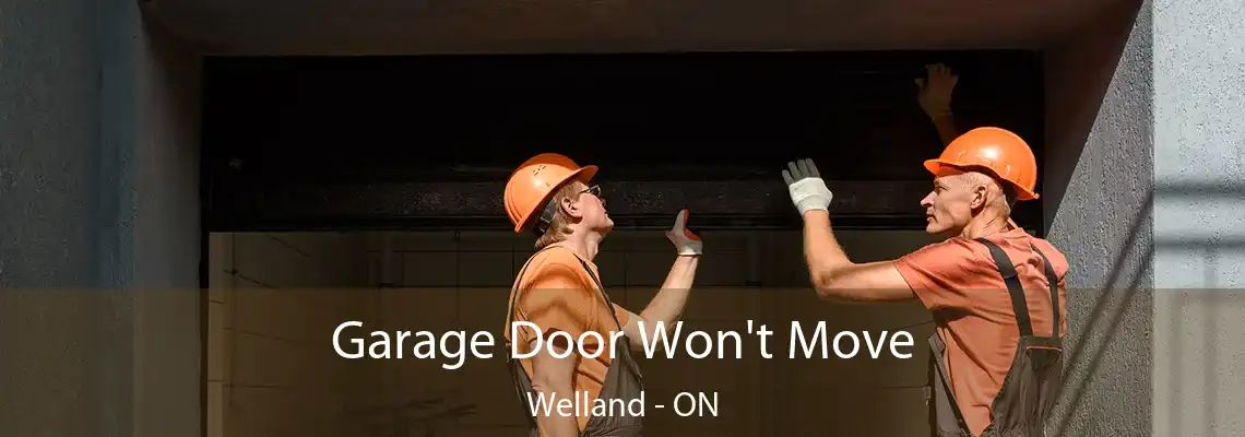 Garage Door Won't Move Welland - ON